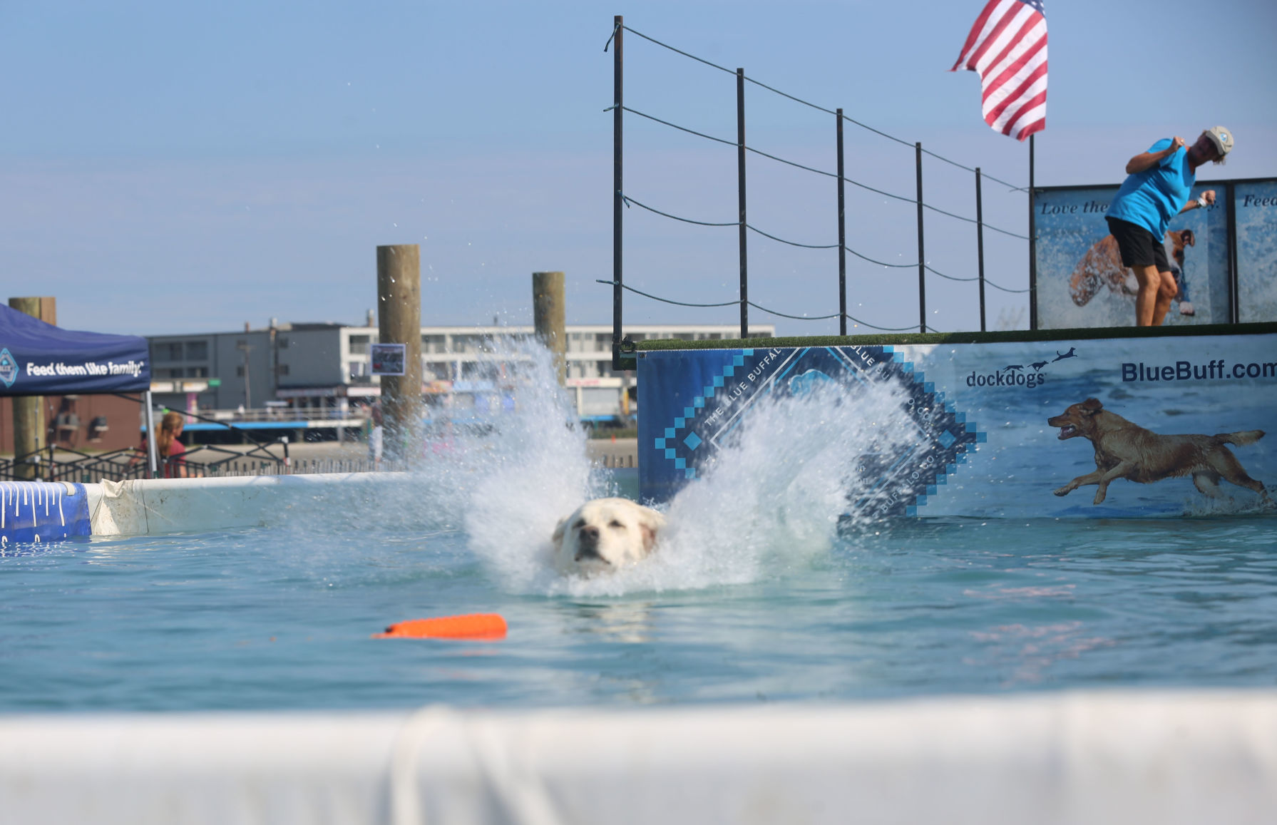 090919_gal_dockdogsWW (17)